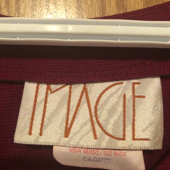 Plus Size Image Dress in Burgandy - Picture 5 of 6